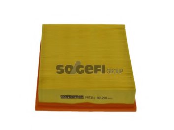 COOPERSFIAAM FILTERS PA7391 Air Filter